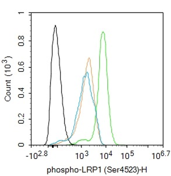 Phospho-LRP1 (Ser4523) Rabbit Polyclonal Antibody