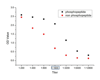 Phospho-PPAR Gamma (Ser112) Rabbit Polyclonal Antibody