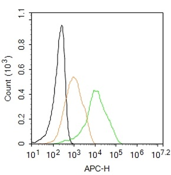 NF-M Rabbit Polyclonal Antibody (APC)
