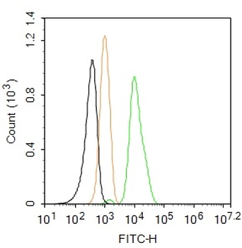 Phospho-TrkA (Tyr674 + Tyr675) + TrkB (Tyr706 + Tyr707) Rabbit Polyclonal Antibody (FITC)