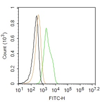 Phospho-TrkA (Tyr674 + Tyr675) + TrkB (Tyr706 + Tyr707) Rabbit Polyclonal Antibody (FITC)