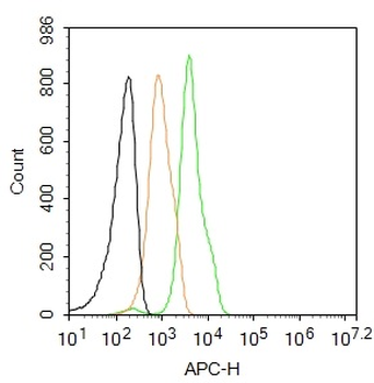 Caspase-1 p20 Rabbit Polyclonal Antibody (APC)
