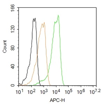 Caspase-1 p20 Rabbit Polyclonal Antibody (APC)