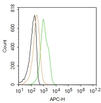Caspase-1 p20 Rabbit Polyclonal Antibody (APC)