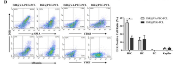 ALB Antibody