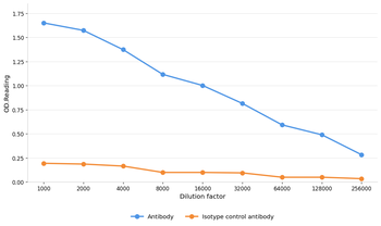 EGFR Antibody