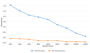 IQGAP1 Antibody