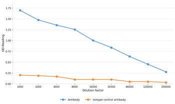 ACTA2 Antibody