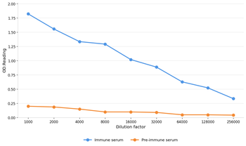 PPP3CA Antibody