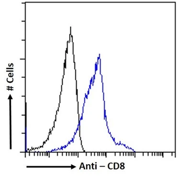 CD8 Mouse Monoclonal Antibody