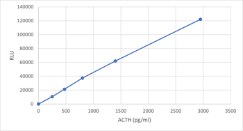 ACTH N-Terminal Monoclonal Antibody 6Y8