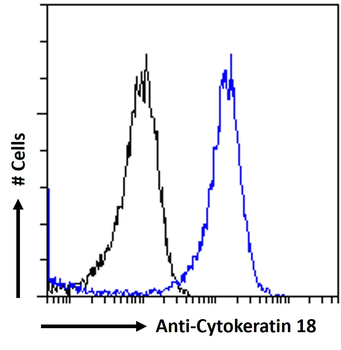 Human Cytokeratin 18 Antibody