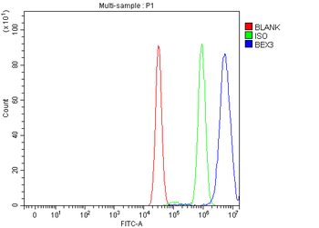 BEX3 Rabbit Polyclonal Antibody