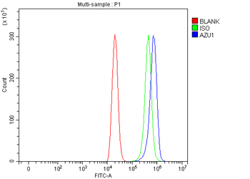 Azurocidin/AZU1 Rabbit Polyclonal Antibody