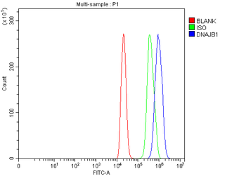 Hsp40/DNAJB1 Antibody
