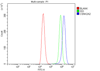 CSNK2A2 Antibody