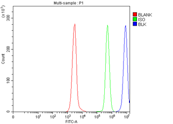 BLK Rabbit Polyclonal Antibody