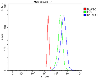 Bim/BCL2L11 Antibody