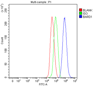 BARD1 Rabbit Polyclonal Antibody