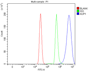 AUP1 Antibody