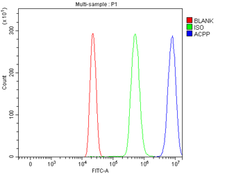 PAP/ACP3 Antibody