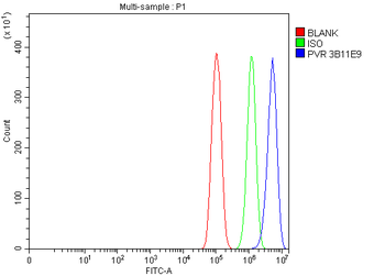 Poliovirus Receptor/PVR Antibody (monoclonal, 3B11E9)