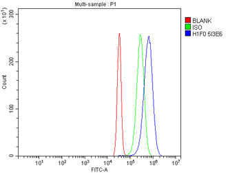 Histone H1.0/H1F0 Antibody (monoclonal, 5I3E6)