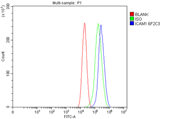 ICAM1 Antibody (monoclonal, 6F2C3)