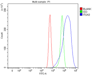 Integrin alpha 3/ITGA3 Antibody