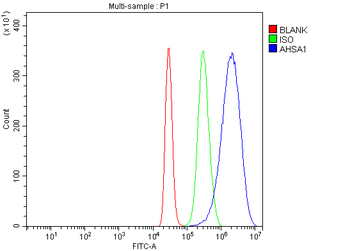 AHA1/AHSA1 Antibody