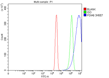 PDIA6 Antibody (monoclonal, 3H5E7)