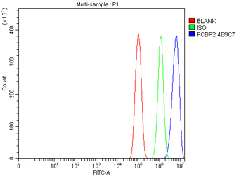 PCBP2/hnRNP E2 Mouse Monoclonal Antibody