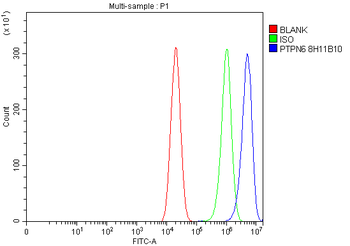 SHP1/PTPN6 Mouse Monoclonal Antibody