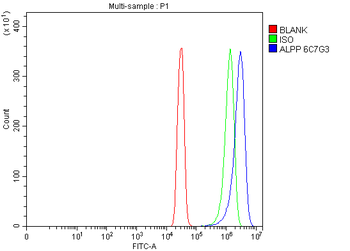 ALPP Antibody (monoclonal, 6C7G3)