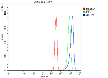 GLUD1/2 Antibody