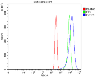 FKBP1A/1B Antibody