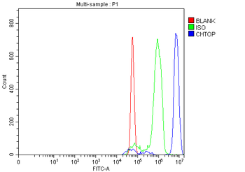C1orf77/FOP/CHTOP Antibody