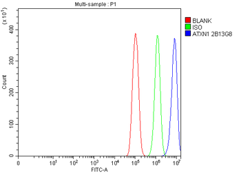 Ataxin 1 Antibody (monoclonal, 2B13G8)