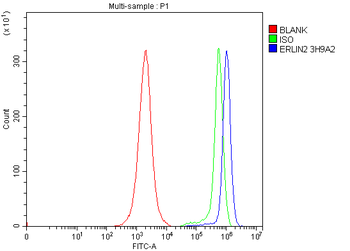 Erlin-2/ERLIN2 Mouse Monoclonal Antibody