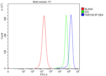MPPB/PMPCB Mouse Monoclonal Antibody