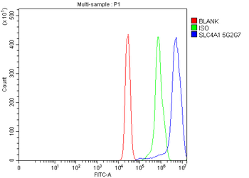 SLC4A1/CD233/Band 3 Mouse Monoclonal Antibody