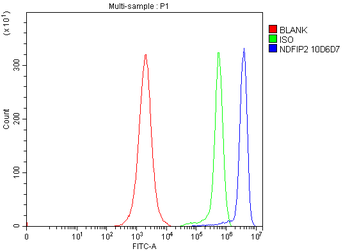 NDFIP2 Mouse Monoclonal Antibody