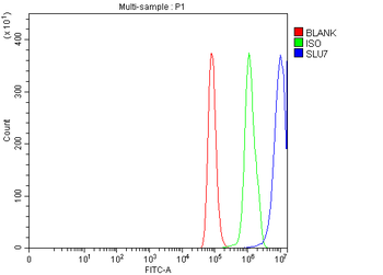 SLU7 Antibody