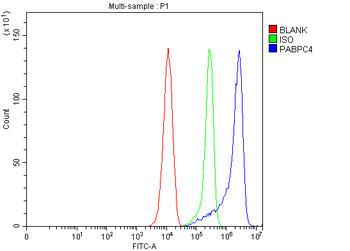APP-1/PABPC4 Antibody