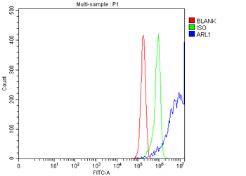 ARL1 Rabbit Polyclonal Antibody