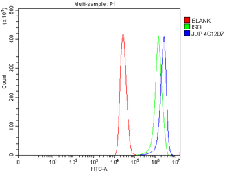 gamma Catenin Mouse Monoclonal Antibody