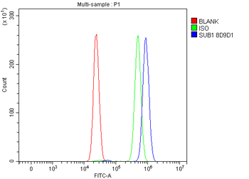 PC4/SUB1 Antibody (monoclonal, 8D9D1)