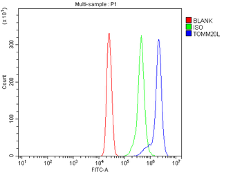 TOMM20L Rabbit Polyclonal Antibody