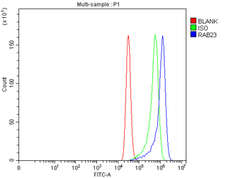 RAB23 Rabbit Polyclonal Antibody