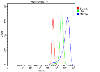 MAT2A Rabbit Polyclonal Antibody